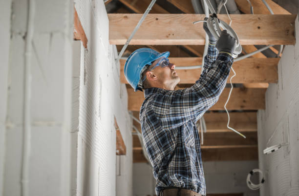 Best Electric Panel Repair  in Tomah, WI